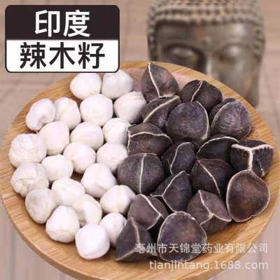 批发供应辣木籽 印度辣木籽 大中小粒 产地货源 量大价优图3