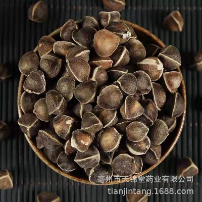 批发供应辣木籽 印度辣木籽 大中小粒 产地货源 量大价优图4