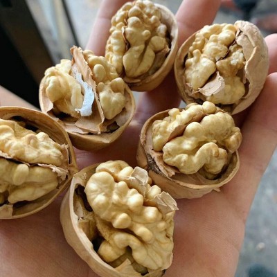185纸皮核桃 新疆薄皮核桃休闲干果零食5斤包邮 手剥原味大核桃图2