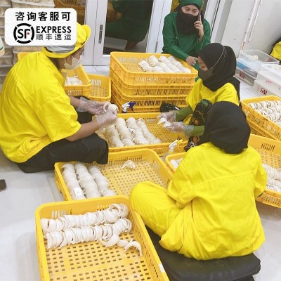 印尼燕窝干盏批发孕妇燕窝条马来燕窝碎金丝燕窝盏条免泡3克疏盏图2