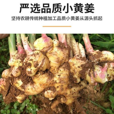 姜粉 食品级姜粉 云南小黄姜粉 散装调味 生姜粉 干姜粉250g/罐图3