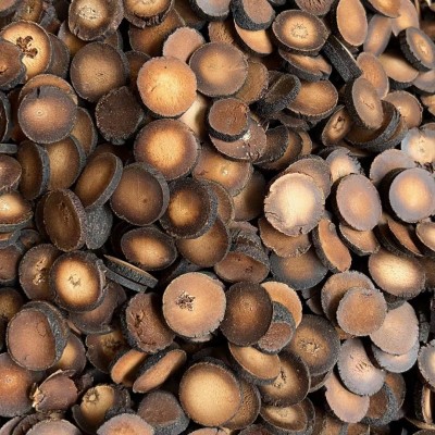 批发橘红片化橘红压片化橘红皮化橘红茶化橘红颗粒桔红量大从优图3