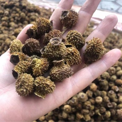 现货批发手选脱刺新货贵州优质无硫刺梨果干产地直销量大从优刺梨图2