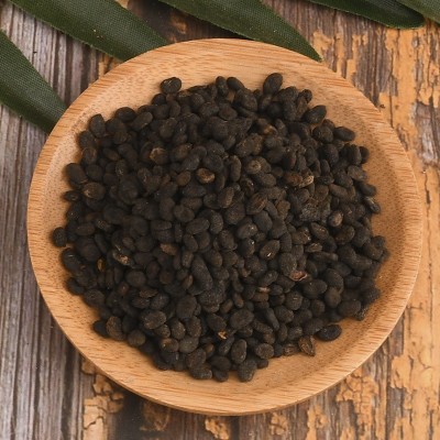补骨脂 产地直销 补骨脂大货量大从优质量保证图2