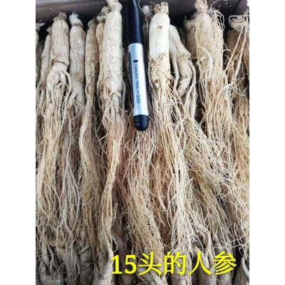 生晒参 白参 东北人参 长白山人参 园参 全须 500g 高丽参图4