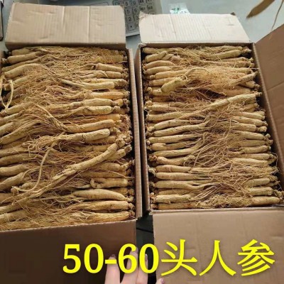 生晒参 白参 东北人参 长白山人参 园参 全须 500g 高丽参图3