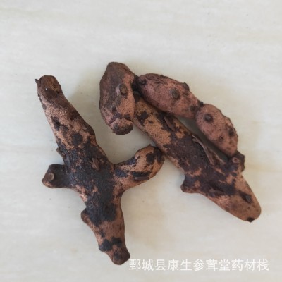 骨碎补500克 烫骨碎补 毛姜实物拍照 大货供应 可代打粉图5