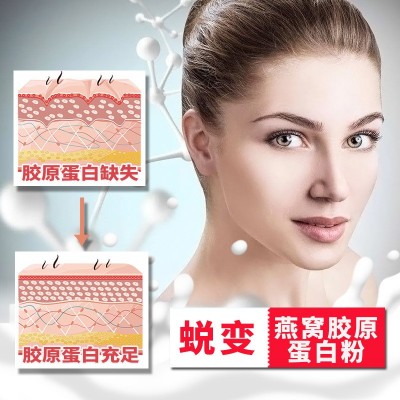 [1000g/罐]燕窝胶原蛋白质粉女性蛋白粉营养保健蛋白粉批发代发图4