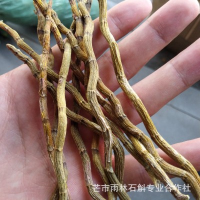铁皮石斛粉芽条粉云南雨林石斛基地出品胶质浓郁芽条磨粉可代发货图4
