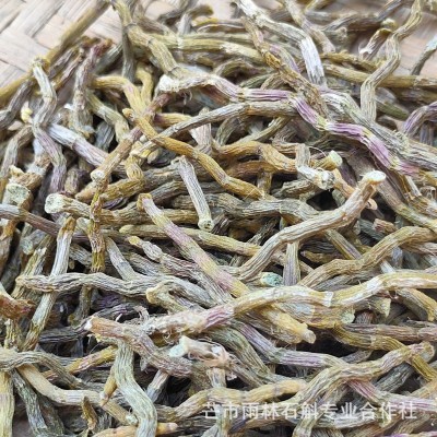 铁皮石斛短芽条云南雨林石斛粗芽条石斛清香胶质浓郁咀嚼无渣图2