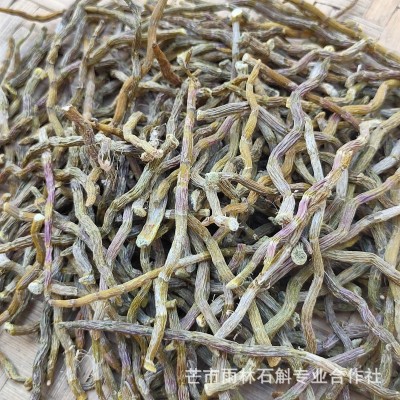 铁皮石斛短芽条云南雨林石斛粗芽条石斛清香胶质浓郁咀嚼无渣图4