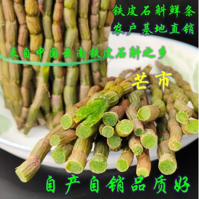 铁皮石斛鲜条云南雨斛堂鲜石斛胶质浓郁咀嚼无渣石斛基地直销图2