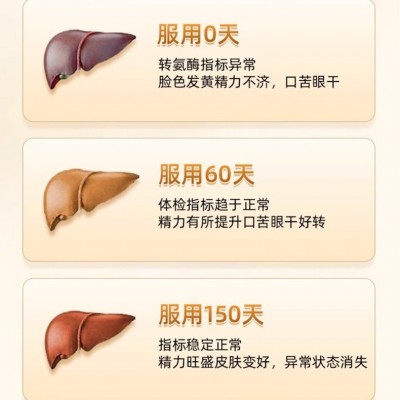 北京同仁堂葛根灵芝片压片糖果喝酒熬夜加班特殊膳食一件代发批发图2