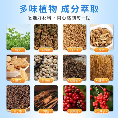 抖音爆款香港九龙大药房无湿轻帖 植物萃取無濕輕貼10贴/盒批发图3