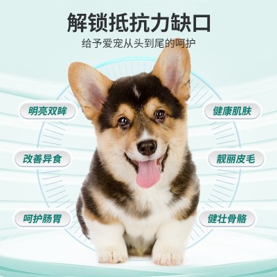 猫咪复合维生素狗狗营养品宠物专用多种维生素猫用防掉毛维生素片图3