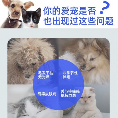 迪丽莎宠物纯鱼油片猫咪狗狗通用宠物营养补充剂深海鱼油片保健品图2