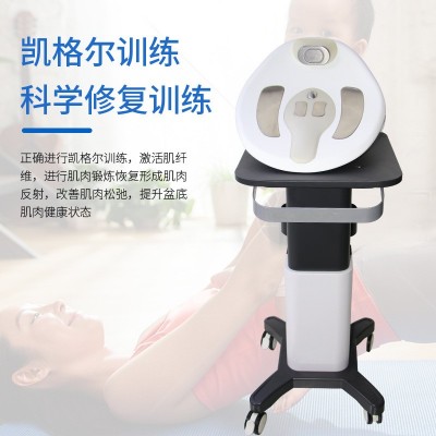 厂家批发家用多功能盆底康复治疗仪 生物刺激反馈仪腹直肌治疗仪图3
