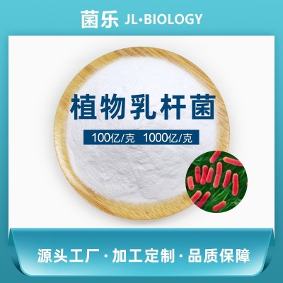 专利菌株可授权植物乳杆菌JYLP-326 发酵菌种乳酸菌粉 乳杆菌菌粉图2