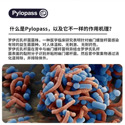 益生菌粉 Pylopass罗伊氏乳杆菌幽门螺旋杆肠胃冻干一件代发图3
