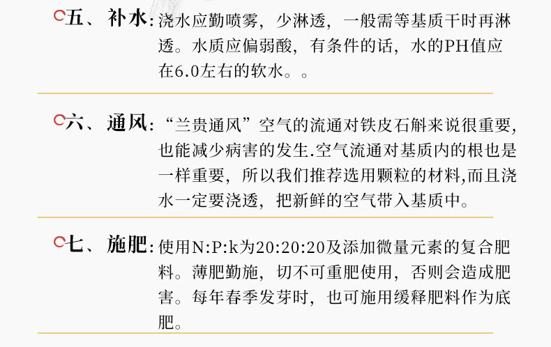 铁皮石斛盆栽_19.jpg