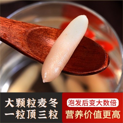 四川绵阳麦冬中药材野生500克麦门冬正品旗舰店非麦东茶特级干货图2