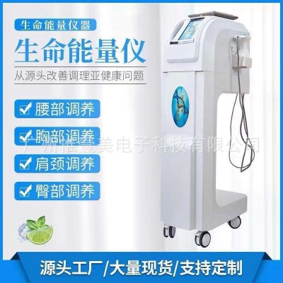 生命密码生命能量仪美容院灸导仪图4
