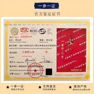 国检野山参一等二等 礼盒图5
