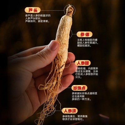 生晒参 长白山人参干参 250g泡酒煲汤图3
