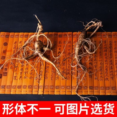 东北鲜人参 长白山林下山参带土鲜活移山参 野山参一件起批图3