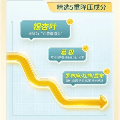 仁.和海中堂牌银杏叶葛根胶囊咀嚼片0.4g*30粒代发现货速发正品批图3