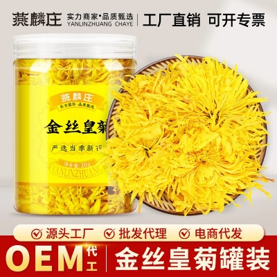 菊花茶金丝皇菊罐装新花菊花金丝黄菊茶叶花茶黄山产地源头批发