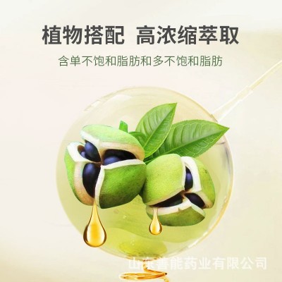 文冠果油凝胶糖果神经酸可加松针油厂家批发即食 软胶囊 文冠果油图2