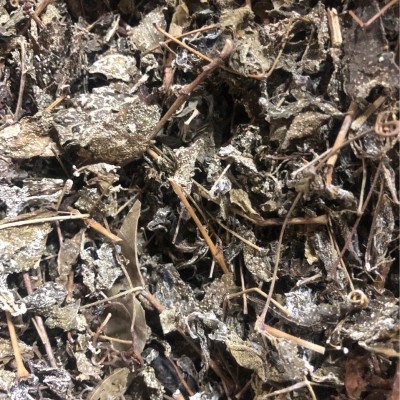 批发原药材 金腊梅 棍儿茶 扁麻 金露梅 木本委陵菜 代嚰粉图3