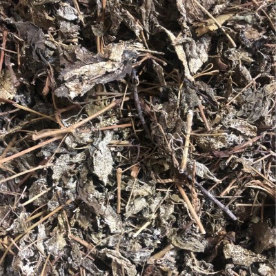 批发原药材 金腊梅 棍儿茶 扁麻 金露梅 木本委陵菜 代嚰粉图4