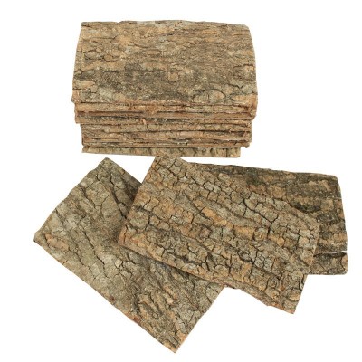 杜仲各种中药材杜仲 杜仲皮 老杜仲 杜仲量大从优免费磨粉杜仲图3