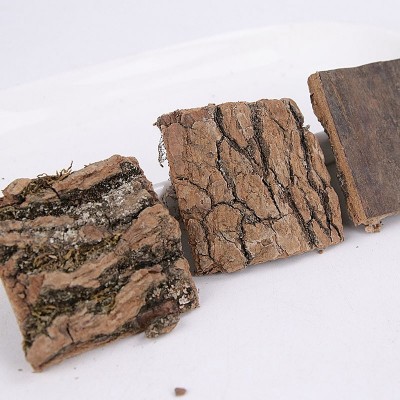 杜仲各种中药材杜仲 杜仲皮 老杜仲 杜仲量大从优免费磨粉杜仲图2