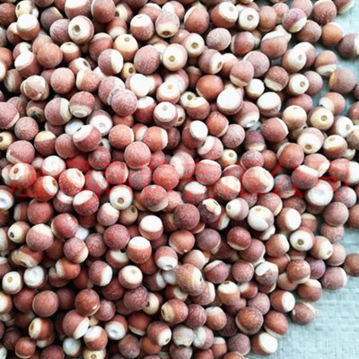 产地批发12厘芡实。 大粒芡实， 四六半芡实， 芡实米m 两半芡实图3