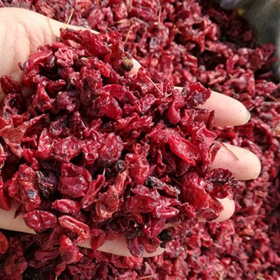 新货山萸肉，产地批发山萸肉 ，，可以视频看货。大货批发图5