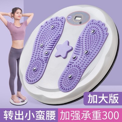 扭腰盘新款加大号带磁石扭腰机 家用运动健身器材锻炼腰部扭腰器图3