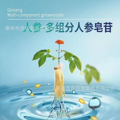 健尔马红曲人参银杏叶胶囊40粒/盒现货 0.3g*40粒一件代发批发图2
