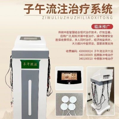 子午流注治疗仪 低中频治疗仪 子午流注开穴治疗仪 子午流注中频图4