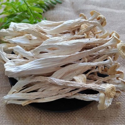 海鲜菇干货菌汤包茶树菇羊肚菌干货菌类源头工厂欢迎来谈图2