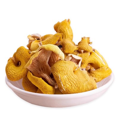 云南鸡油菌干货菌汤包配料源头厂家菌汤包厂家野生榆黄菇丝图5
