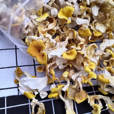 云南鸡油菌干货菌汤包配料源头厂家菌汤包厂家野生榆黄菇丝图3