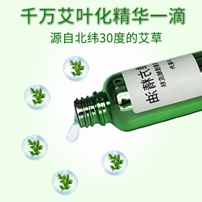 正宗蕲艾草按摩精油 肩颈刮痧蕲艾单方精油 美容院身体精油厂家批图4