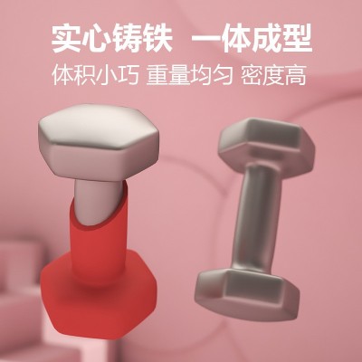 哑铃女士 六角包胶纯铁哑铃健身家用公斤 磅LB浸塑儿童小哑铃批发图2