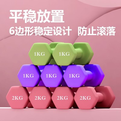 哑铃女士 六角包胶纯铁哑铃健身家用公斤 磅LB浸塑儿童小哑铃批发图4