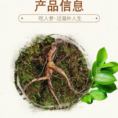 人参植物厂家批发长白山林下参 鲜参 林下籽参 一颗起发 吉林山参图4