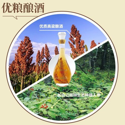 人参虫草酒53度礼盒装人参鹿茸血酒滋补养生酒人参海参酒粮食白酒图2