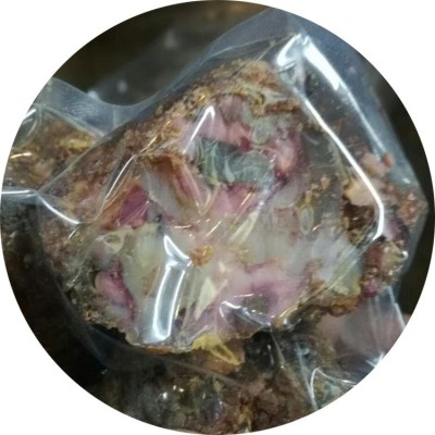 阿魏 新疆臭阿魏 中药材供应 五彩药用 钓鱼诱饵五花阿魏一件代发图5